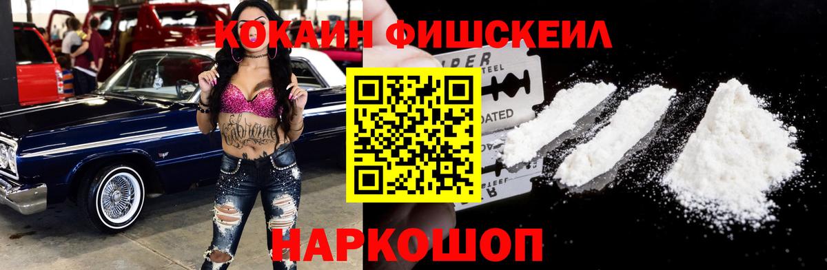 Тулун  COCAIN Fish Scale  COCAIN  Вход с VPN 